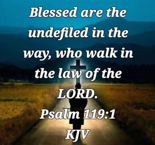 d2652cec-d7aa-4c8b-9a24-6a828690d651