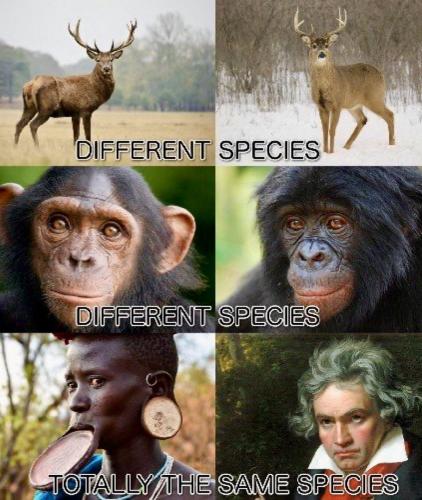 IMG_20250512_143124_009