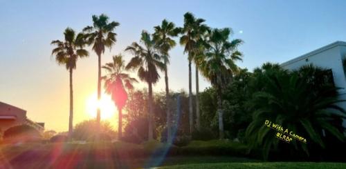 Screenshot_20250501_182109_Gallery