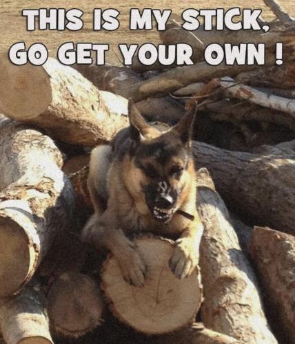 FB_IMG_1747693830647