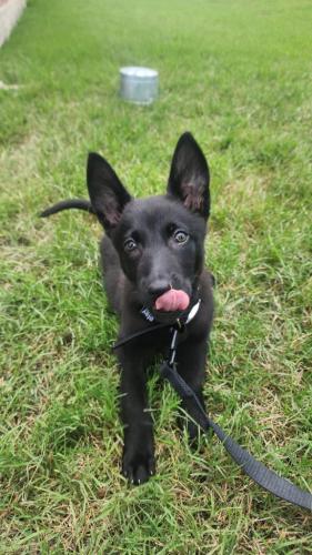 df5f62b6-b691-4bf6-a1cd-5a1db00c2f53