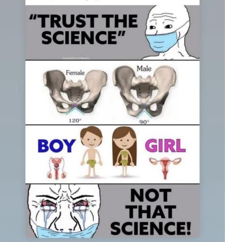 Screenshot_20250508_053955_Facebook