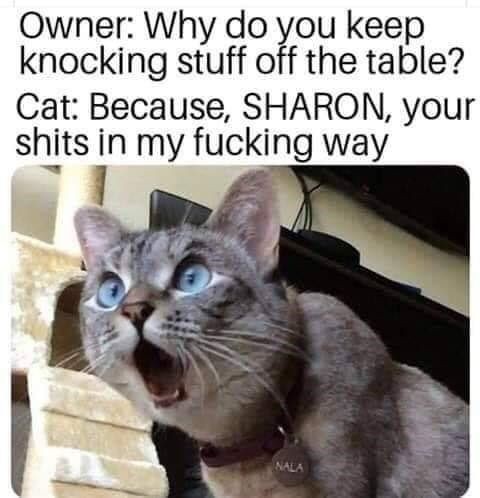 12ae58ad9114d812f3165019855b75b7