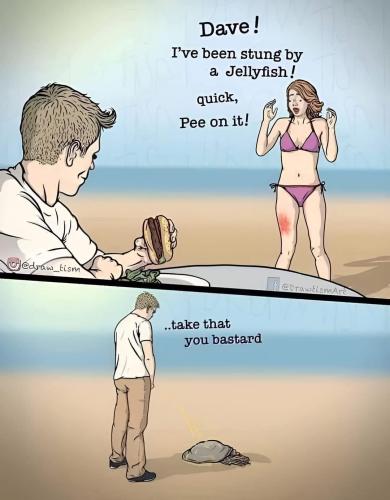 FB_IMG_1747166147295