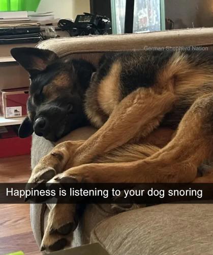 FB_IMG_1746905387488