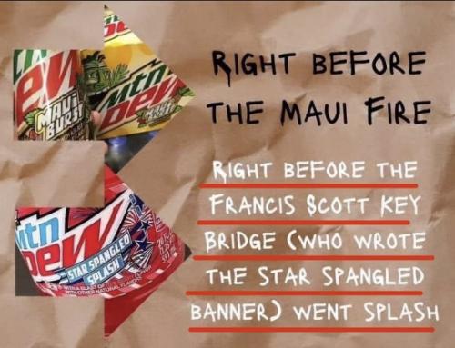 Image 30-03-2024 at 01.13