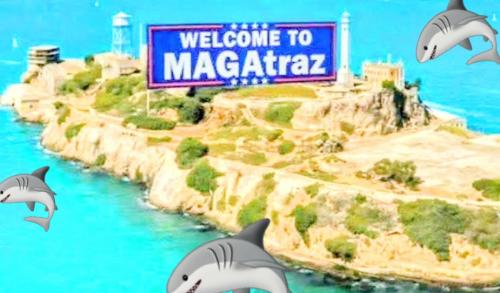 Screenshot_20250508_113458_Facebook~4