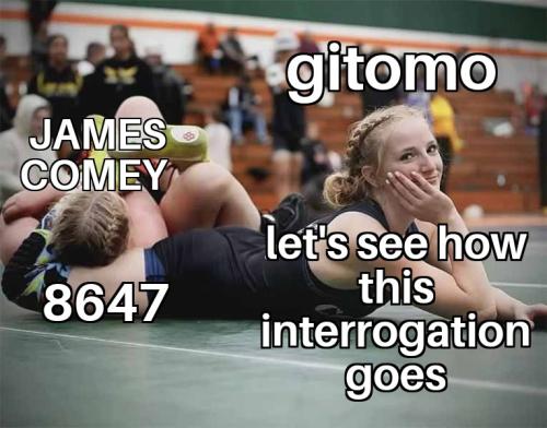 Wrestler Posing While Winning 17052025003942