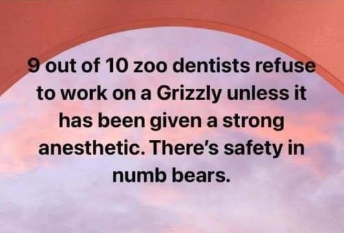 image_2C656ABA-A876-483E-BBD5-3E95A37D1675