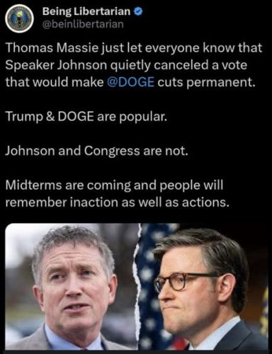 government efficiency71