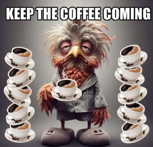 501209133_24179835771614316_1943706780339936907_n