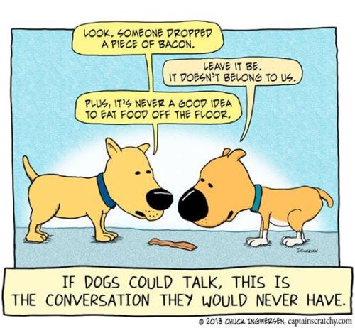 20e3fd1838061a29f68ab906689f8e11