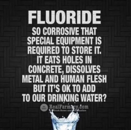 post 2 FB = 9966630c5e83ccf6544b1df891065743_1024