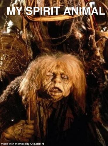 image_D4861947-BF66-43A6-B8B4-5B65025ED0C0