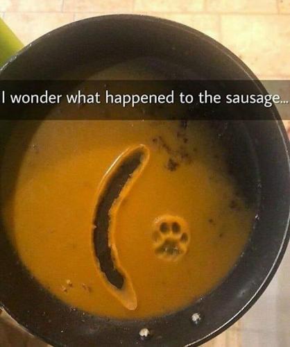 fd87818cde3508581e267e58b9820c50