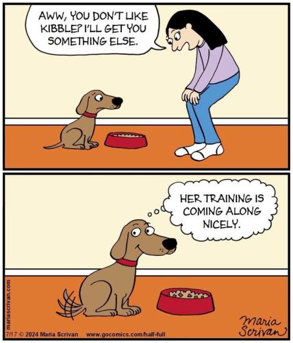 94bde90b6946b962250a5054e7c3f943