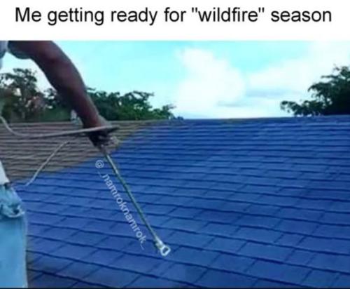 photo_2025-05-01_20-13-02