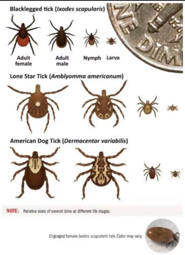 Screenshot_20250528_154108_Gallery