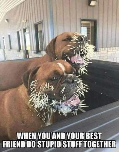 f8cda566c4a8bddbe99939ea91ae090c