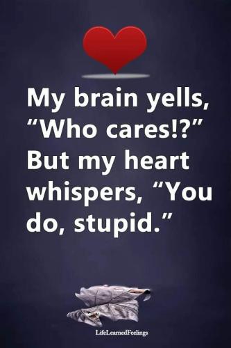FB_IMG_1557535275251