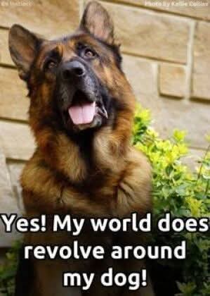 FB_IMG_1747082052882