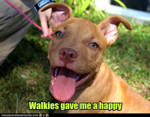 walkies-gave-me-a-happy