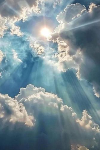 4bc18a2a-f24c-42fd-9246-2219a2dcf1e1