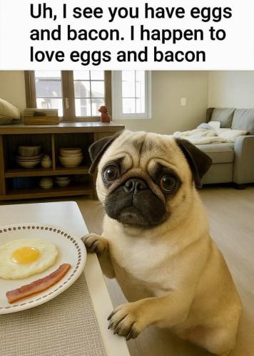 FB_IMG_1748370112422