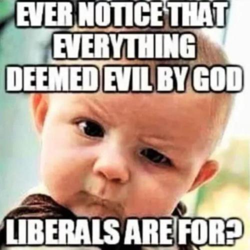 495779975_8951291294974562_2331752807468505303_n