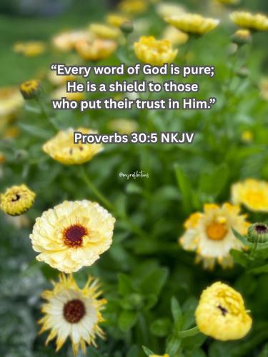 495570190_701040656200335_2790063881295288737_n