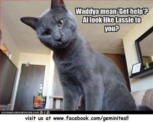 5ab473a8f1590842a959be7b6e93535e