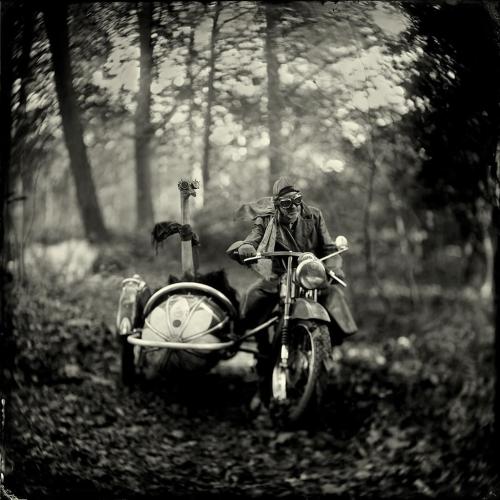 The-wild-Bunch