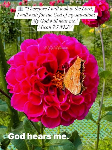 500953308_718945604409840_4432119900016739071_n