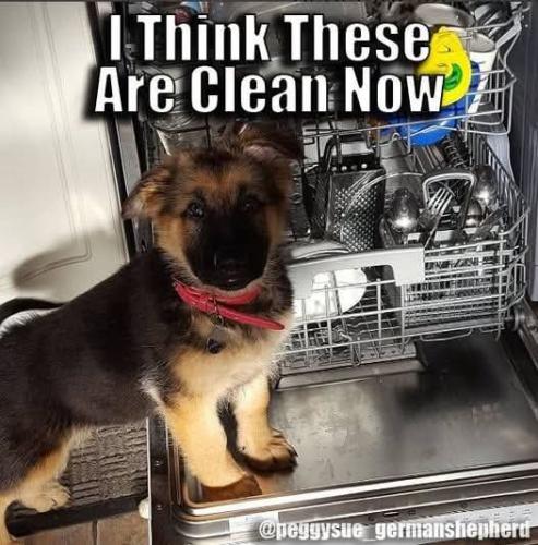 FB_IMG_1746294129478