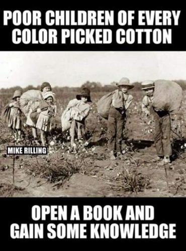 FB_IMG_1557109731664