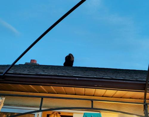 10b4535b-3bac-4058-8380-c35390f77ed1