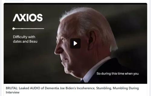 Leaked Audio screenshot