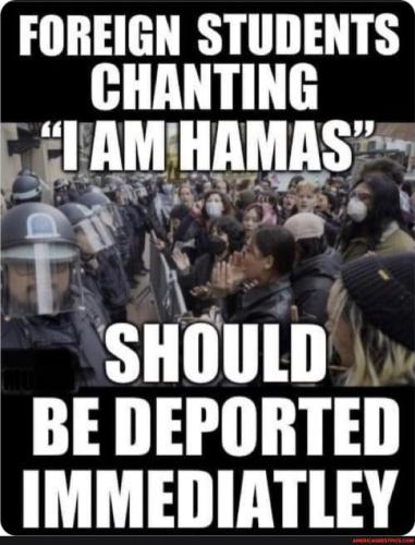 29e673fefda71e96456491f1da61f49cab686680463b05deb829de0329ea3d7a_1