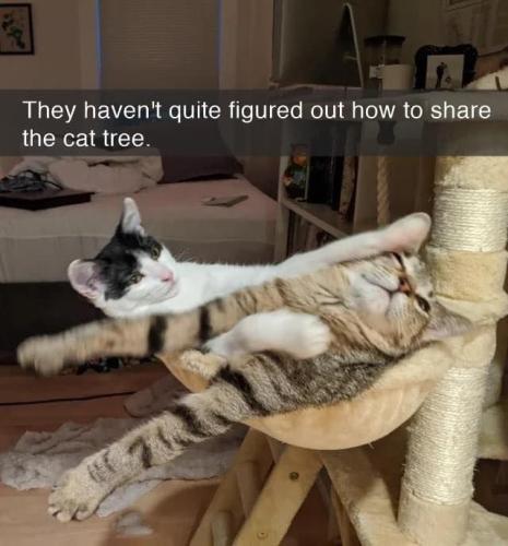 4c6b285c2d5fe227d1c6fc44c63793ab