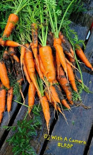 Screenshot_20250522_072910_Brave