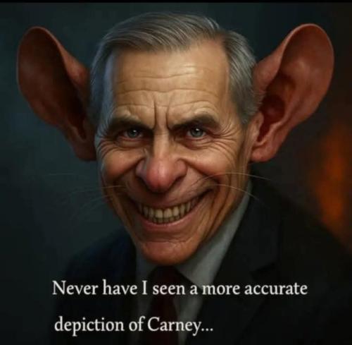 FB_IMG_1746547680232