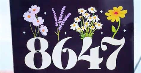 8647 66666