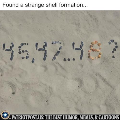 01JVRHV3HCN7WC4V5BHTZ6ZRMW