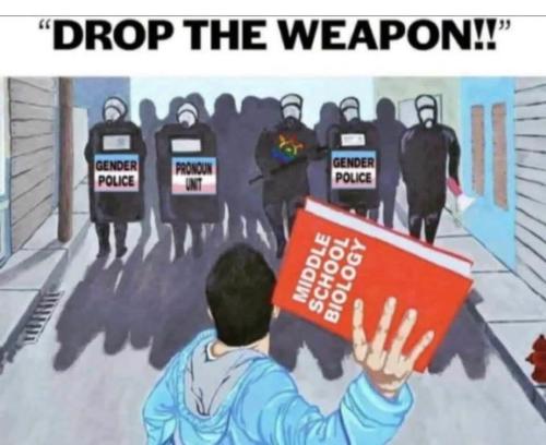 FB_IMG_1748599119515