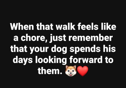 Screenshot_20250415_235810_Facebook