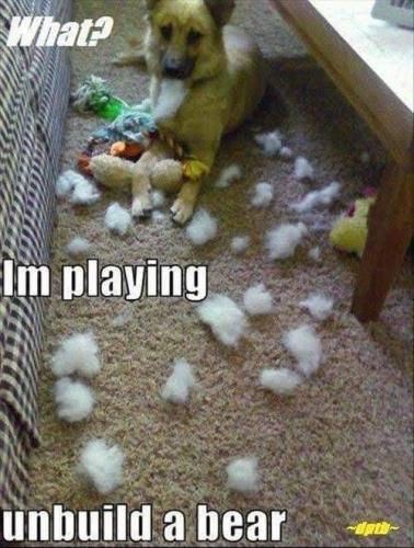 2cbd21bf882a63fc9c8793ca3d039561