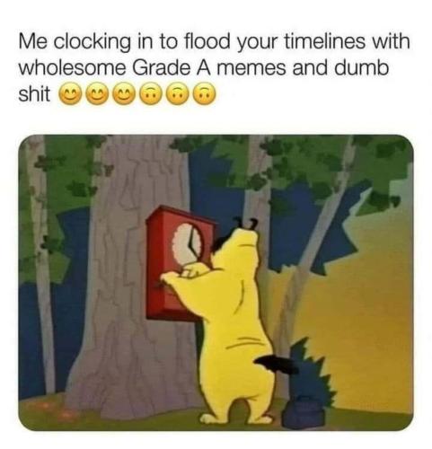 image_7110CB8A-D696-49E9-9BCF-2F0BB1654B0D