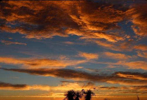 0d87f7a1-53b0-470b-a66b-46077a5e2f1c