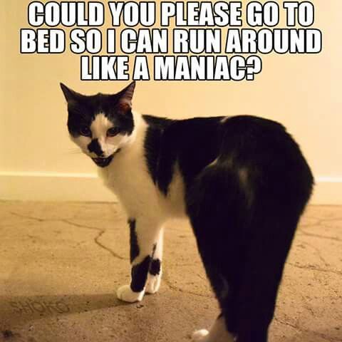 886172e04e20fb904bba397b42a5f937