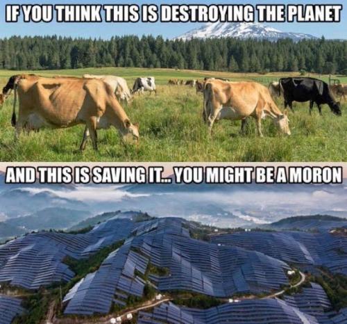 494901642_1501498724549424_8183314914165377599_n